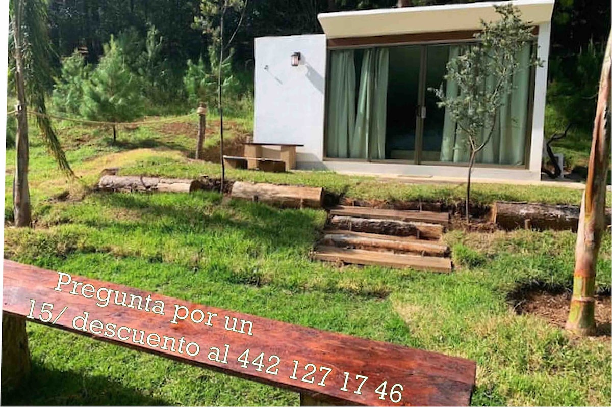 A cabin is nestled among greenery, featuring large glass doors that open to a spacious interior. The area is highlighted by wooden benches and natural landscaping, providing an inviting space for relaxation. Lush trees surround the cabin, enhancing the serene woodland environment.
