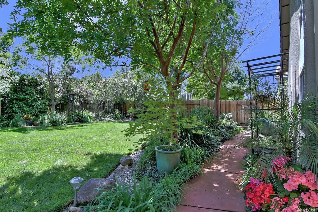 Back yard