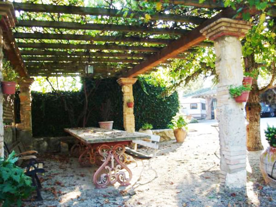 pergola jardin