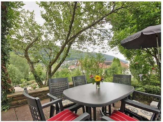 Lovely 8 beds with Garden & Garage in Black Forest