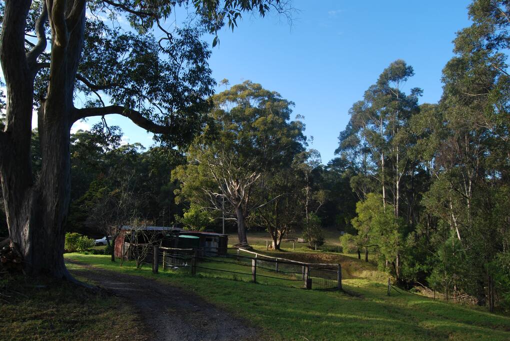 The caravan cabin is located on 50 acres of bush.