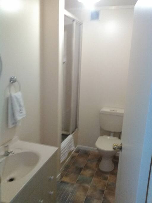 Guest bathroom