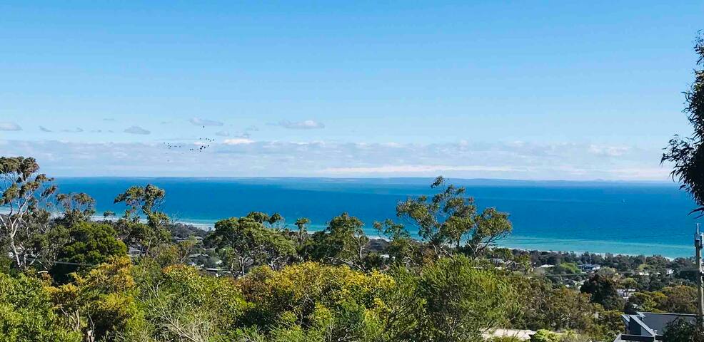 Treehouse Beach Retreat•180° Water Views•Amaz’gLoc gallery image 4