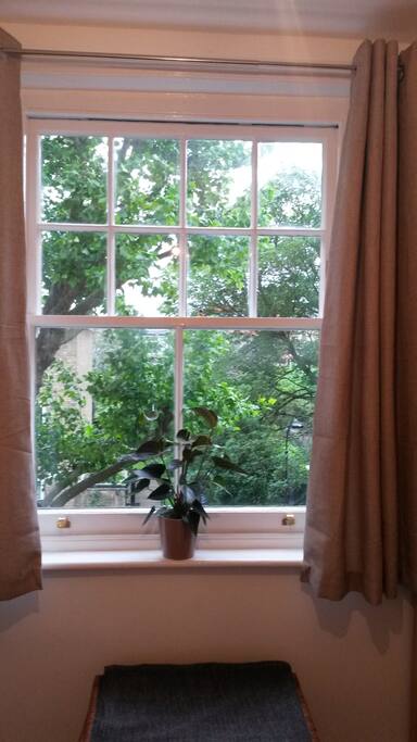 Tree Lined Street - View from Bedroom