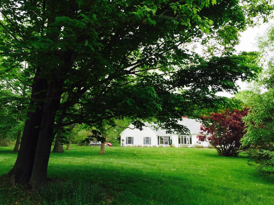 House is secluded with long driveway set far from the road