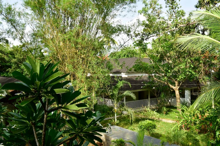 Main House Seen from the Tree House