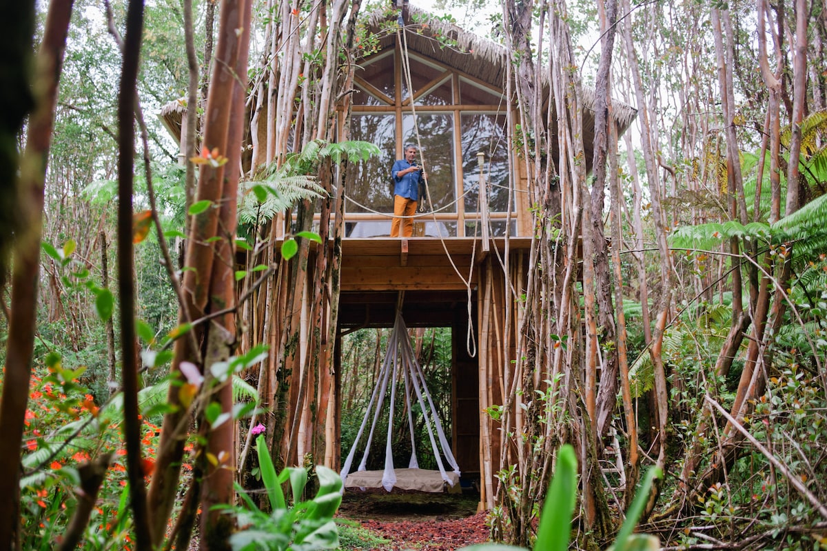A bamboo treehouse is nestled among tall trees, elevated on stilts with a suspended hanging bed below. A person stands on the wraparound lanai, framed by large glass windows that allow light to filter through the surrounding foliage.
