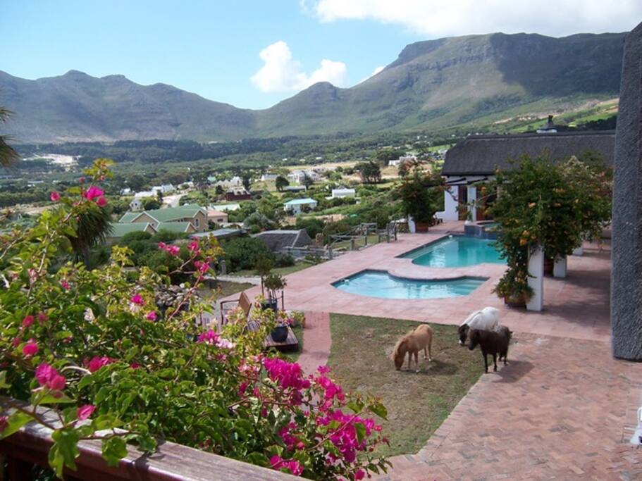 View from chalet (sleeps 4)