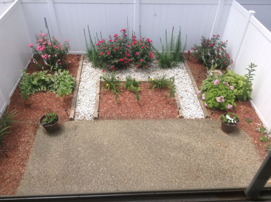 Back patio