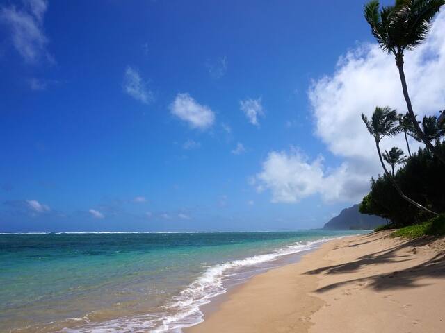 Epic Ocean Views! 3 bed 2 bath beachfront condo! gallery image 5