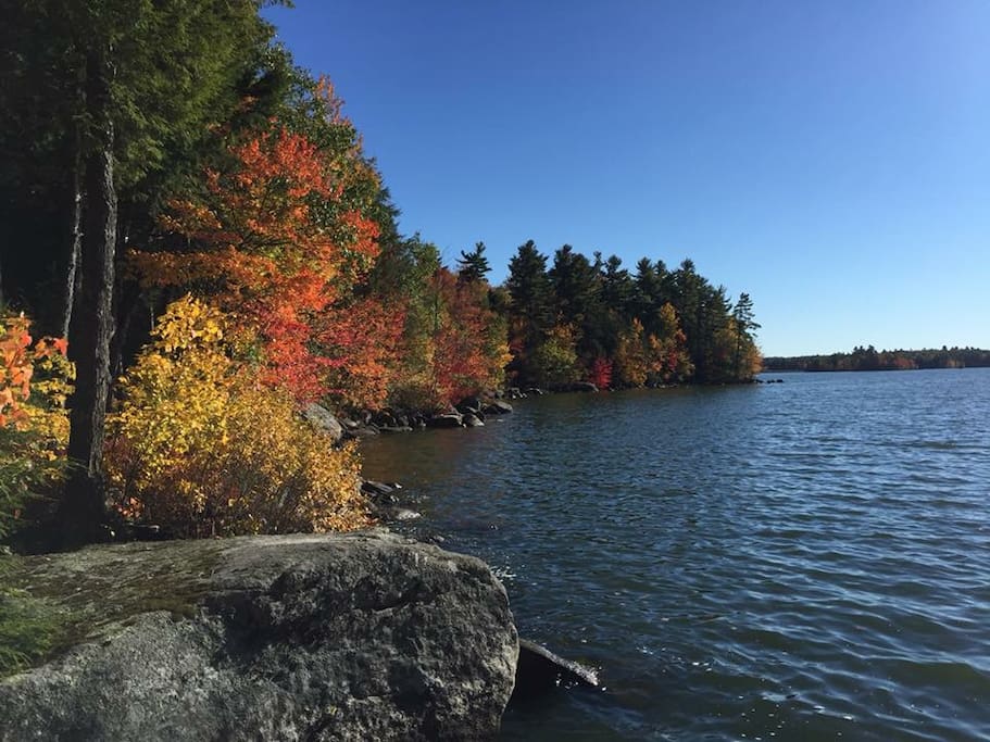 foliage just starting fall of 2016