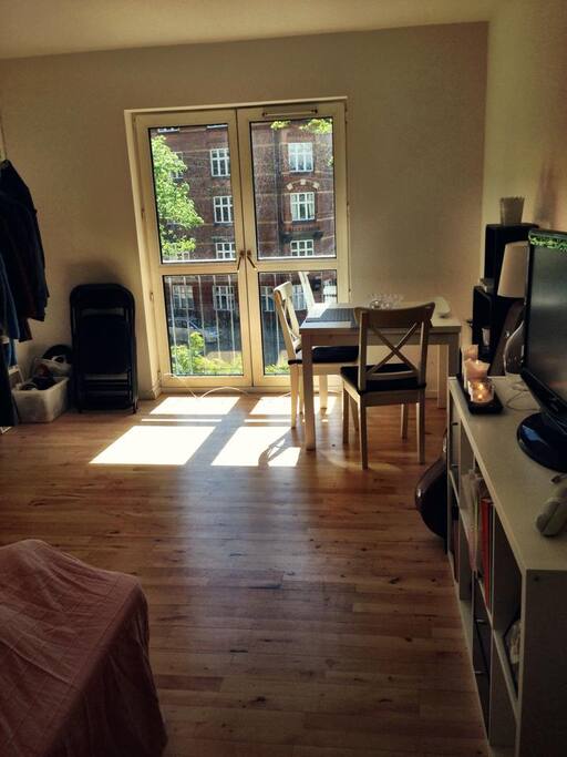 Combined livingroom and bedroom