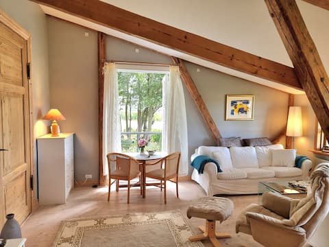 Successful Airbnb property: Frishøjgaard, Kornloftet, the unique holiday home in Lolland