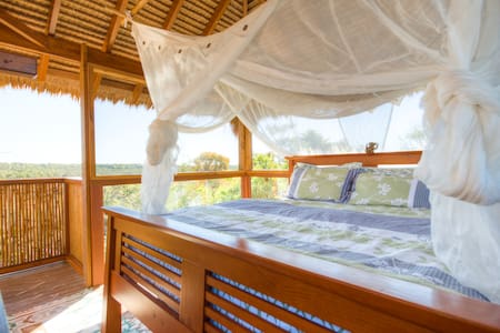 Noosa Tree Top Eco Retreat