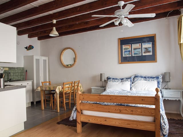 Spacious sunny studio apartment