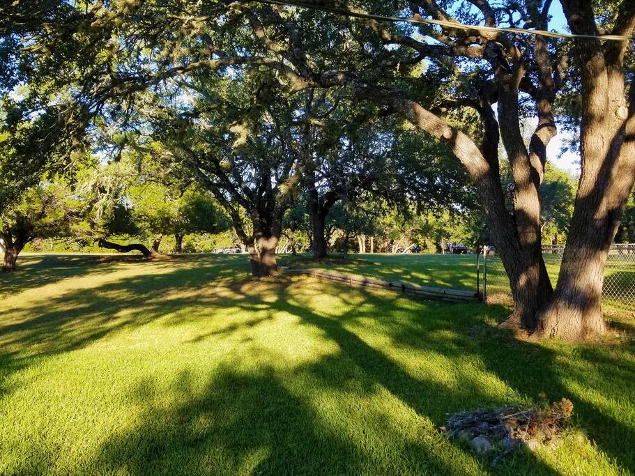 5 acres of trees, hills and lake views