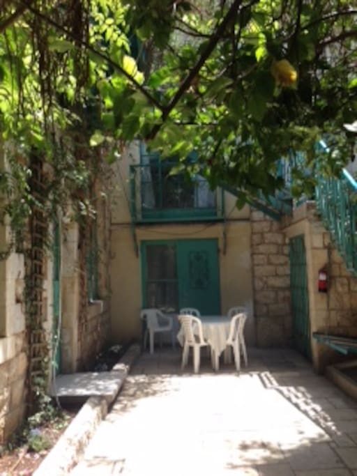 Lemon Tree Courtyard