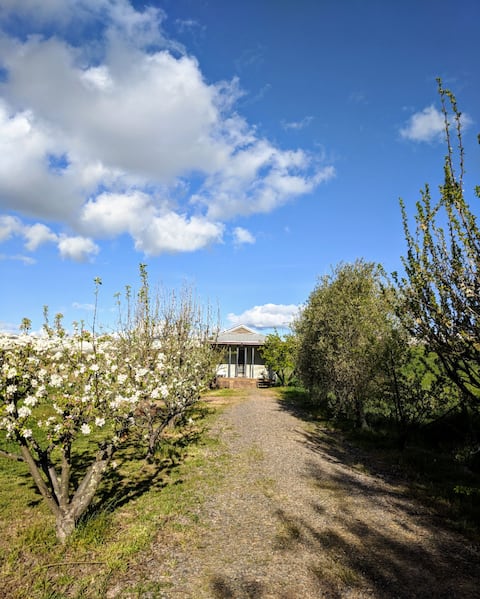 Sunny, large and warm studio at Rose Cottage