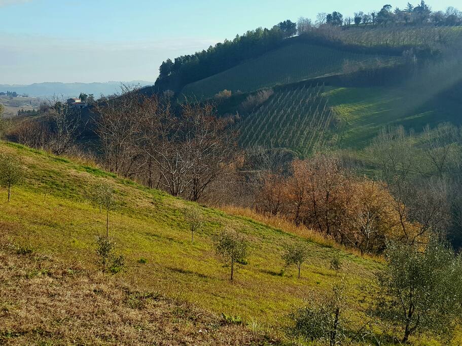 Una delle nostre viste