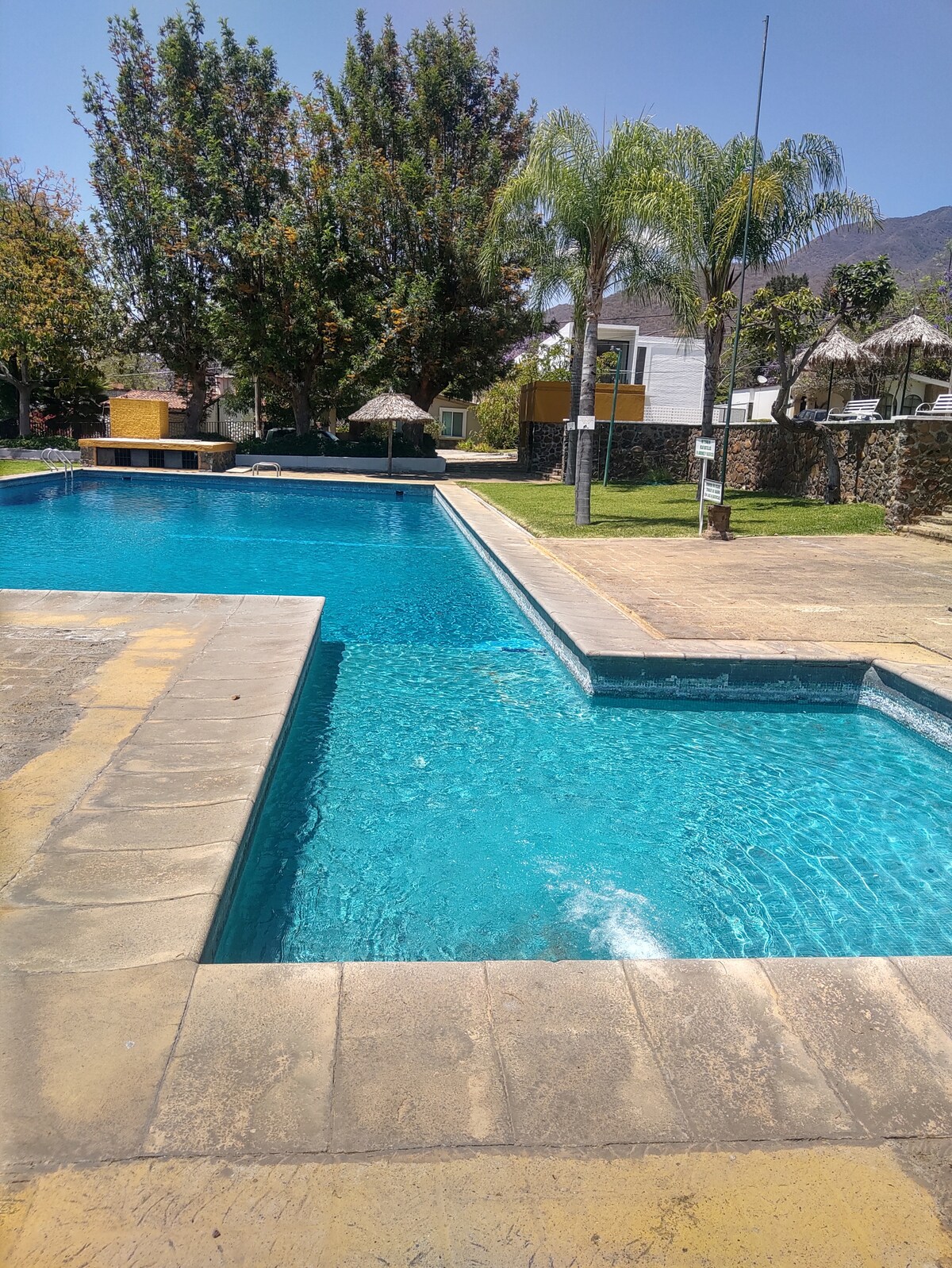 A large swimming pool features tranquil blue water, surrounded by landscaped gardens and palm trees. A shallow section is incorporated for safety, while the pool area is complemented by palm-covered lounging spots nearby, creating an inviting space for relaxation.