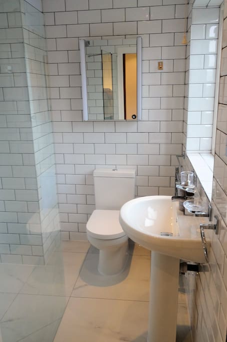 Private luxury ensuite walk in shower room with WC, basin and bluetooth speaker mirror