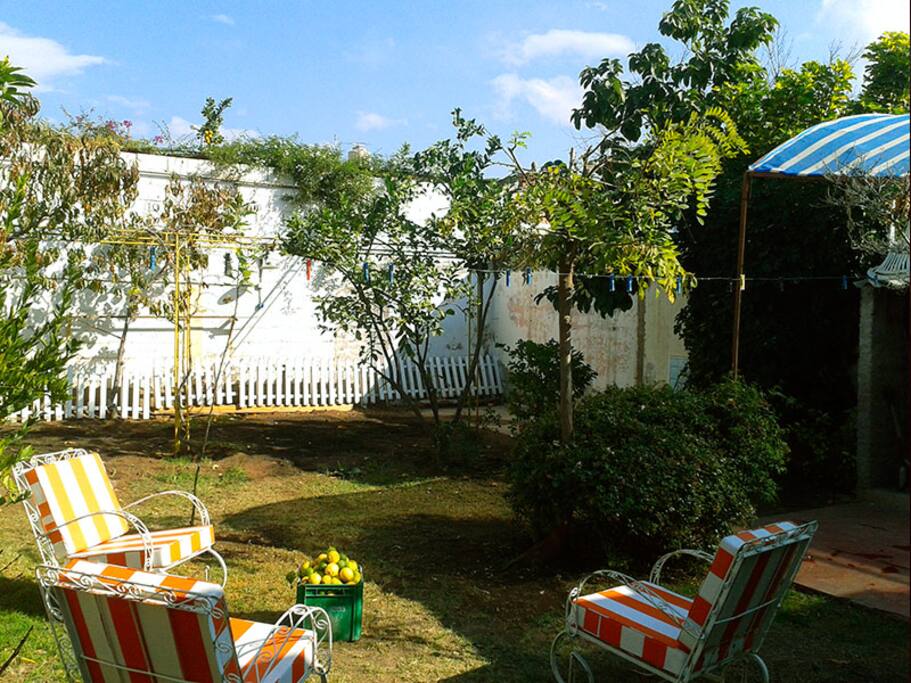Pleasant, large backyard to relax and enjoy.