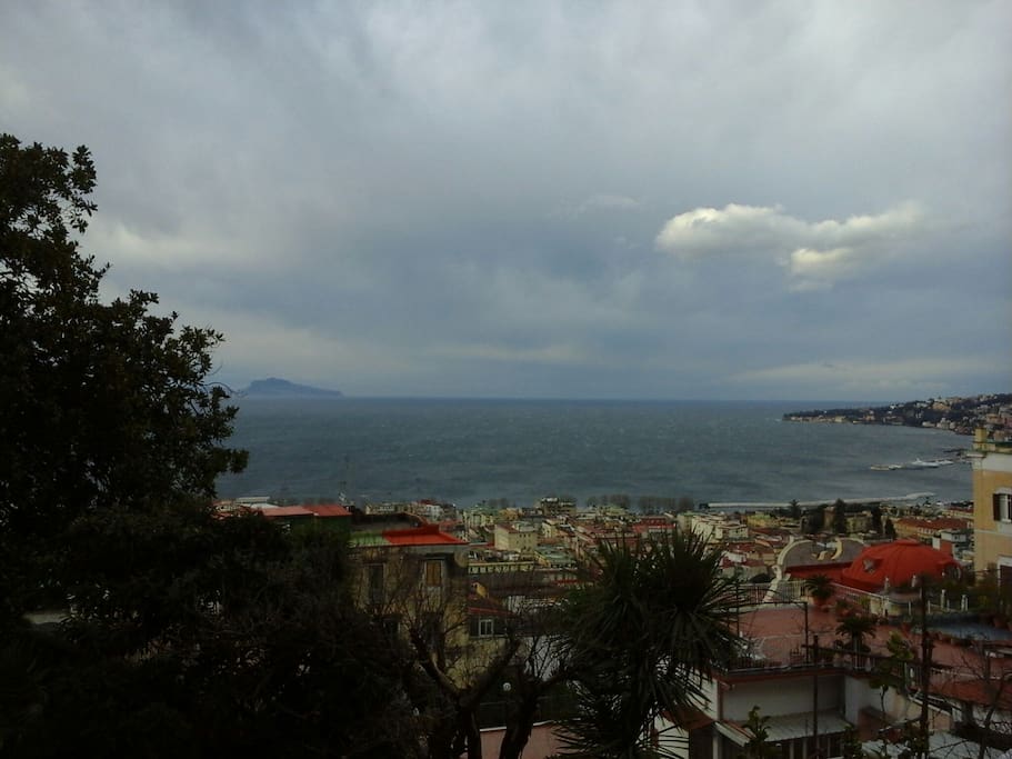 Panorama
