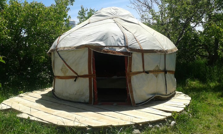 Yurt in Grigorievka · ★5.0 · 1 bedroom · 1 bed · Shared half-bath