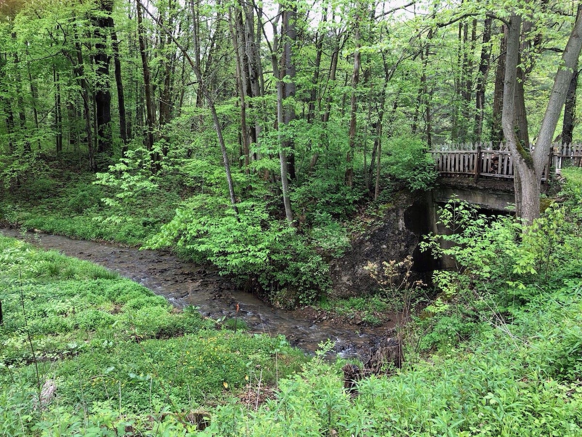 A serene landscape features a gently flowing creek surrounded by lush greenery. Trees with fresh leaves create a vibrant canopy overhead. A wooden bridge crosses the creek, adding a natural touch to the tranquil setting.