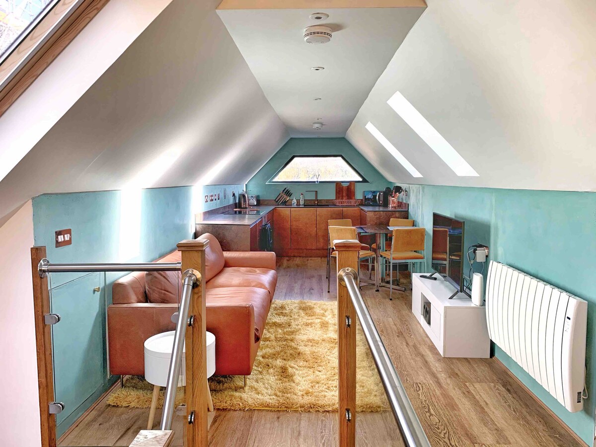 An open-plan living area features a combination of natural light and soft blue walls. A brown leather sofa sits alongside a white table, with modern dining chairs. The kitchen area includes wooden cabinetry, and appliances are subtly integrated into the design. A cozy area rug adds warmth to the space.