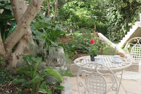 In the shadow of the pomegranate