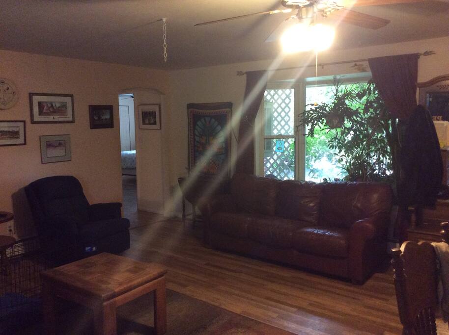 Living room area