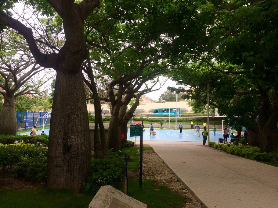 Parque cercano (muy seguro) a dos minutos caminando, ideal para caminar, trotar y/ o hacer otro tipo de deporte (voleibol y basketball)