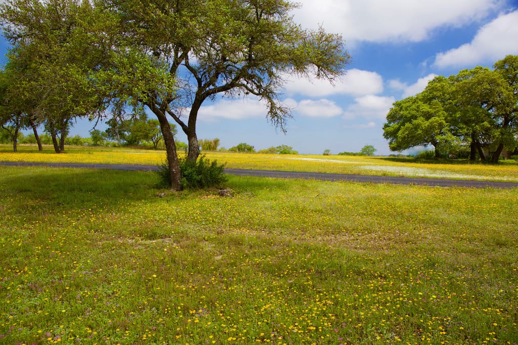 Beautiful Hill Country view in the spring