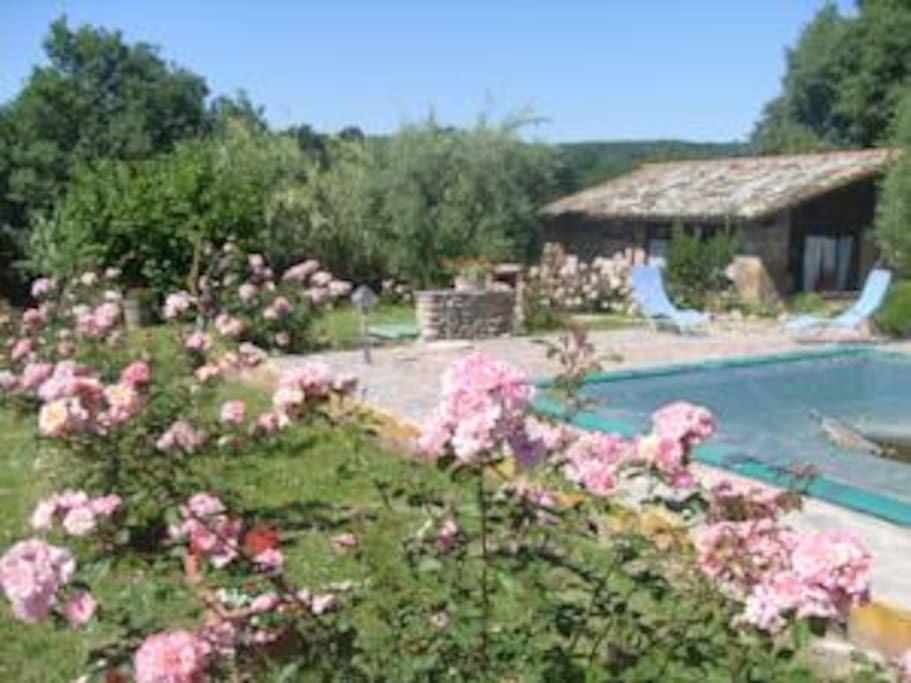 una romantica visione perfetta ,perchè è solo natura
