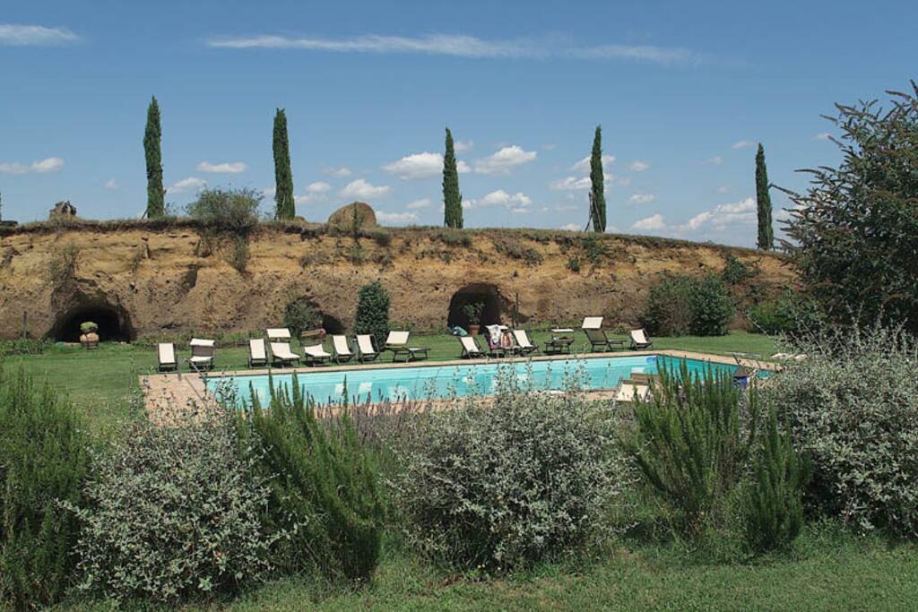 The Pool Garden