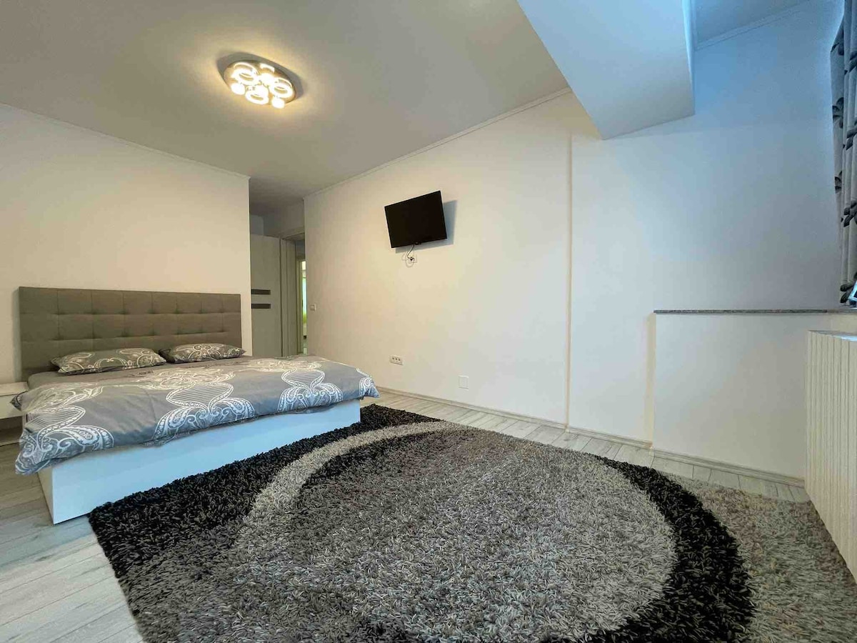 A spacious sleeping area features a gray upholstered bed with a patterned comforter. A circular rug in neutral tones covers the floor, providing warmth to the room. A modern ceiling light illuminates the space, complemented by a wall-mounted TV and a counter near the window.
