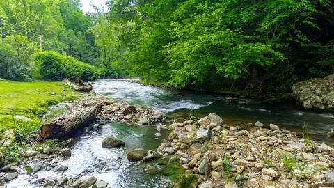 Angel's River HideAway  (Riverview & Easy Access