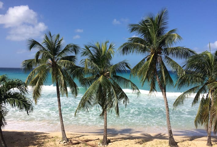 Fabulous Studio Apartment