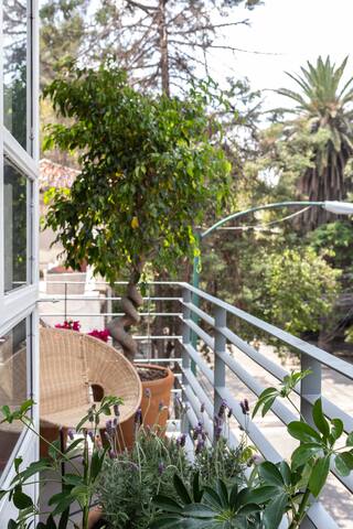 Photographer’s Choice | Condesa | Balcony gallery image 4