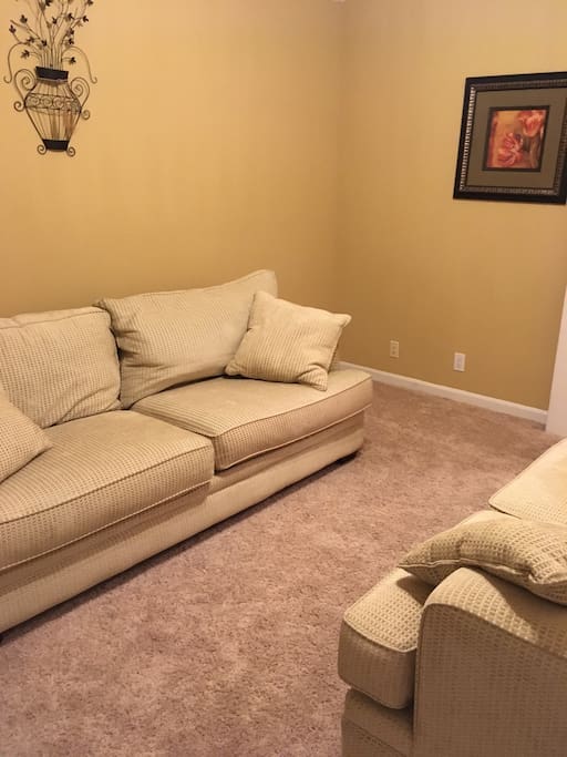 Front room with couch and love seat. There is now a flat screen TV in place of the picture that is hooked up to cable.