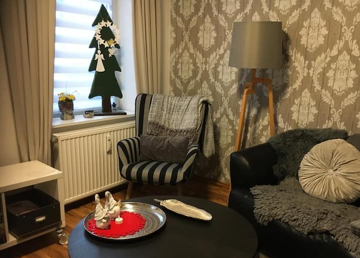 beautiful newly renovated first floor apartment 3 people
