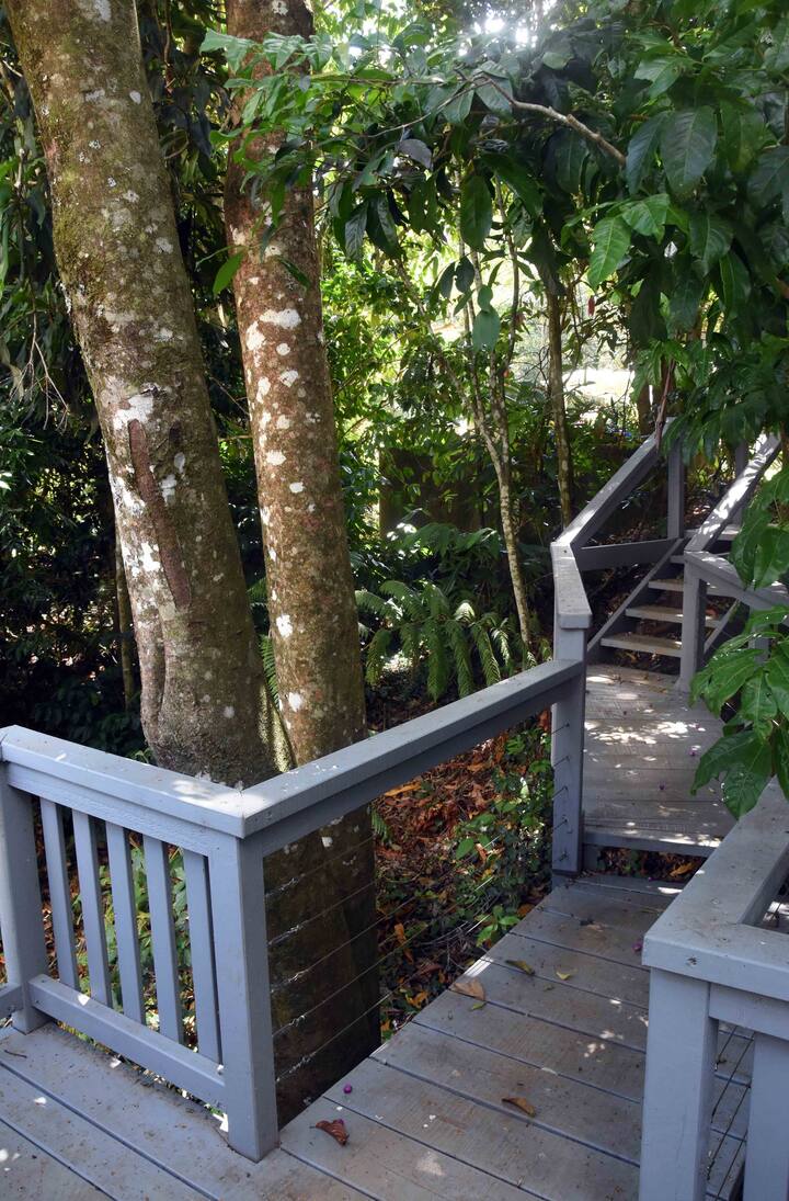 Top 18 Airbnb Vacation Rentals In Mount Tamborine, Australia Updated