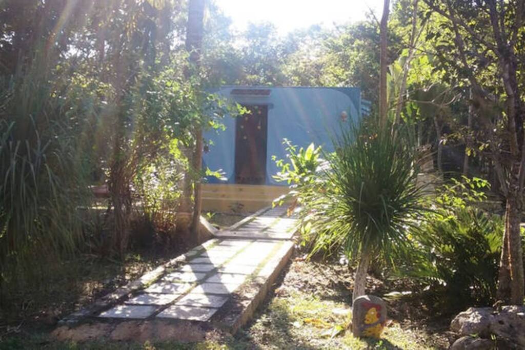 Entrance way to Library Escuelita