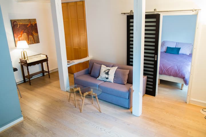 Appartement De Charme - Bastille - Panthéon