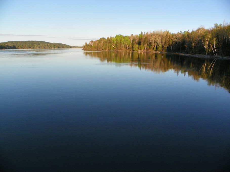 Retro cottage near Acadia Park Houses for Rent in Hancock