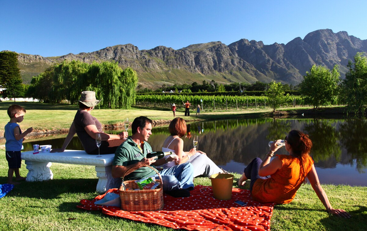 A serene picnic scene is set beside a tranquil pond, with lush green grass and scenic mountains in the background. Guests are seen seated on a patterned blanket, enjoying food from a woven basket, while the vineyard stretches into the distance.