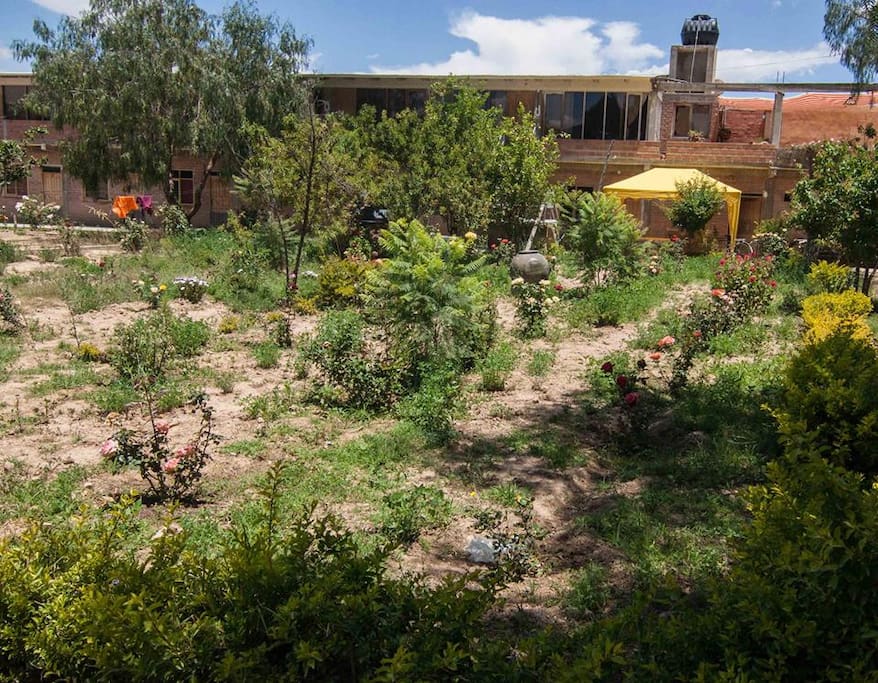 jardín