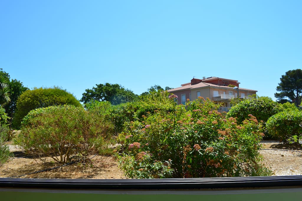 patio avec vue sur le jardin