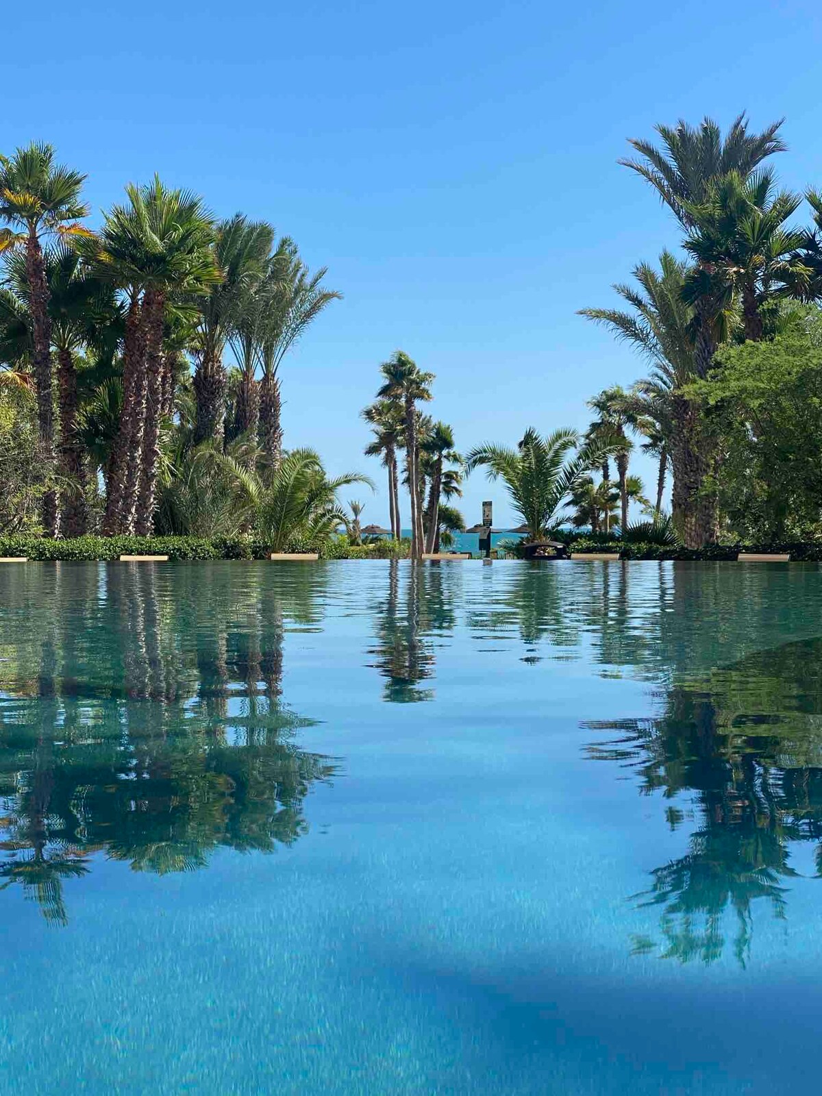 A tranquil pool is surrounded by lush palm trees and vibrant greenery, reflecting the clear blue sky above. The still water leads the eye toward the distant view of the beach and ocean, offering a serene atmosphere for relaxation.